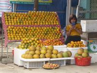 Orangenverkauf überall