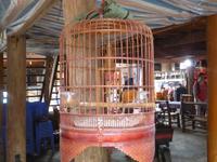 Bewohner im Pfahlhaus