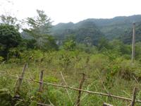 Blick in die Bergwelt Mai Chaus