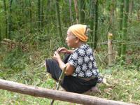 Vietnamesische Bäuerin