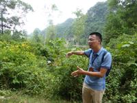 Khoi erklärt etwas zur Bestattungskultur