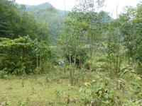 Blick auf einen Friedhof