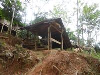 Unterstand für den Wasserbüffel