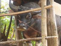 Naja, freudig sieht anders aus.