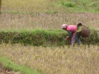 Bei der schweren Arbeit.