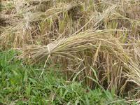 ...wie hier zu sehen ist.