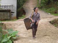 Vietnamesische Bäuerin