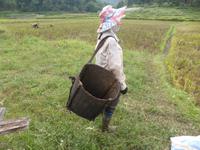 Was mag im Hirn dieser Bäuerin vorgehen?