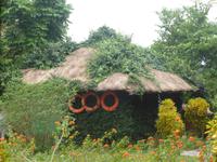 Rettungsringe sind auch da.