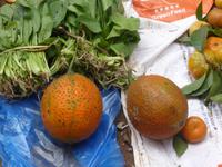 Die Frucht mit unheimlich viel Betakarotin, die auch den Klebreis färbt.