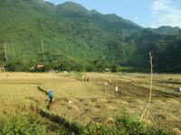 Wanderung durch das Tal von Mai Chau