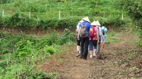 Strohhutgruppe - Wanderung in Mai Chau