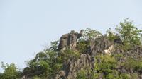 kleiner Steinelefant auf dem Felsen,´trockene´ Halong Bucht, Ninh Binh