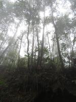 Wanderung im Bach Ma Nationalpark