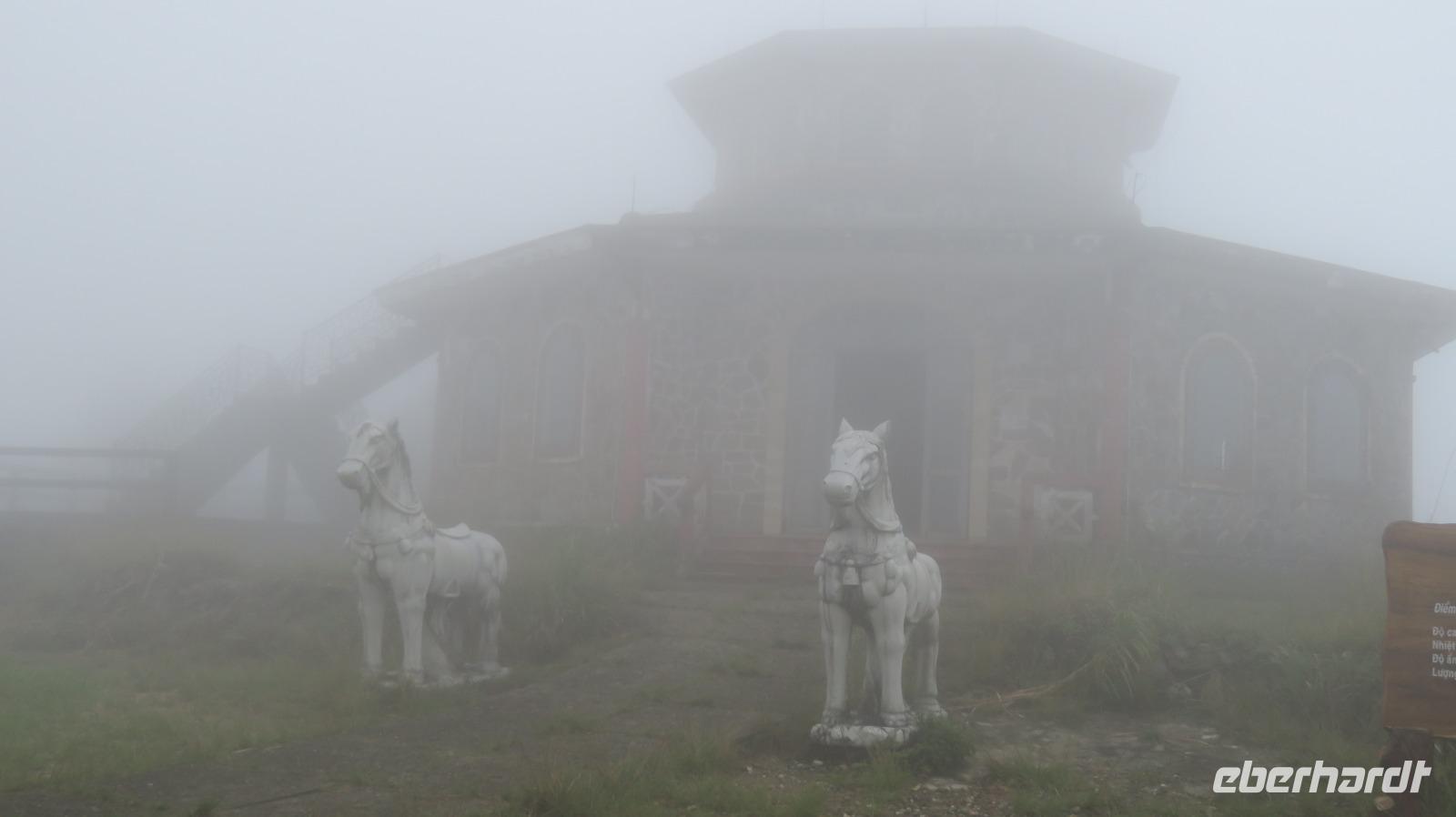 Bach Ma=Weißes Pferd- die stillen Wächter