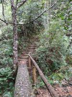 Steinübergang_Bach Ma Nationalpark