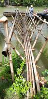 Einstieg in die Boote, abenteuerliche Brücke aus Bambus