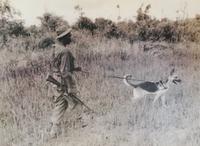 Schäferhunde erspüren die ´Luftlöcher der Tunnel´, Cu Chi