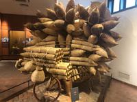 Ethnologisches Museum Hanoi