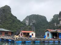 Schwimmendes Dorf - Floating Village - Halong Bucht
