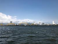 Danang Vietnam Drachenbrücke