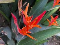 Mekong Delta Vietnam