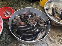 Markt im Mekong Delta Vietnam