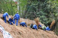 Dachdecker bei der Arbeit