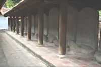 Galerie der weisen Schildkröten