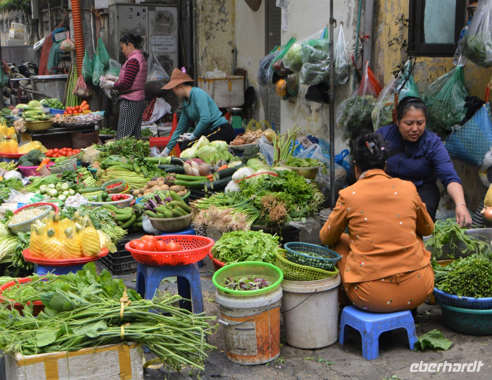 welches Gemüse nehmen wir