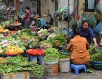 welches Gemüse nehmen wir