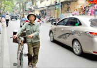 olivgrün ist verbreitet