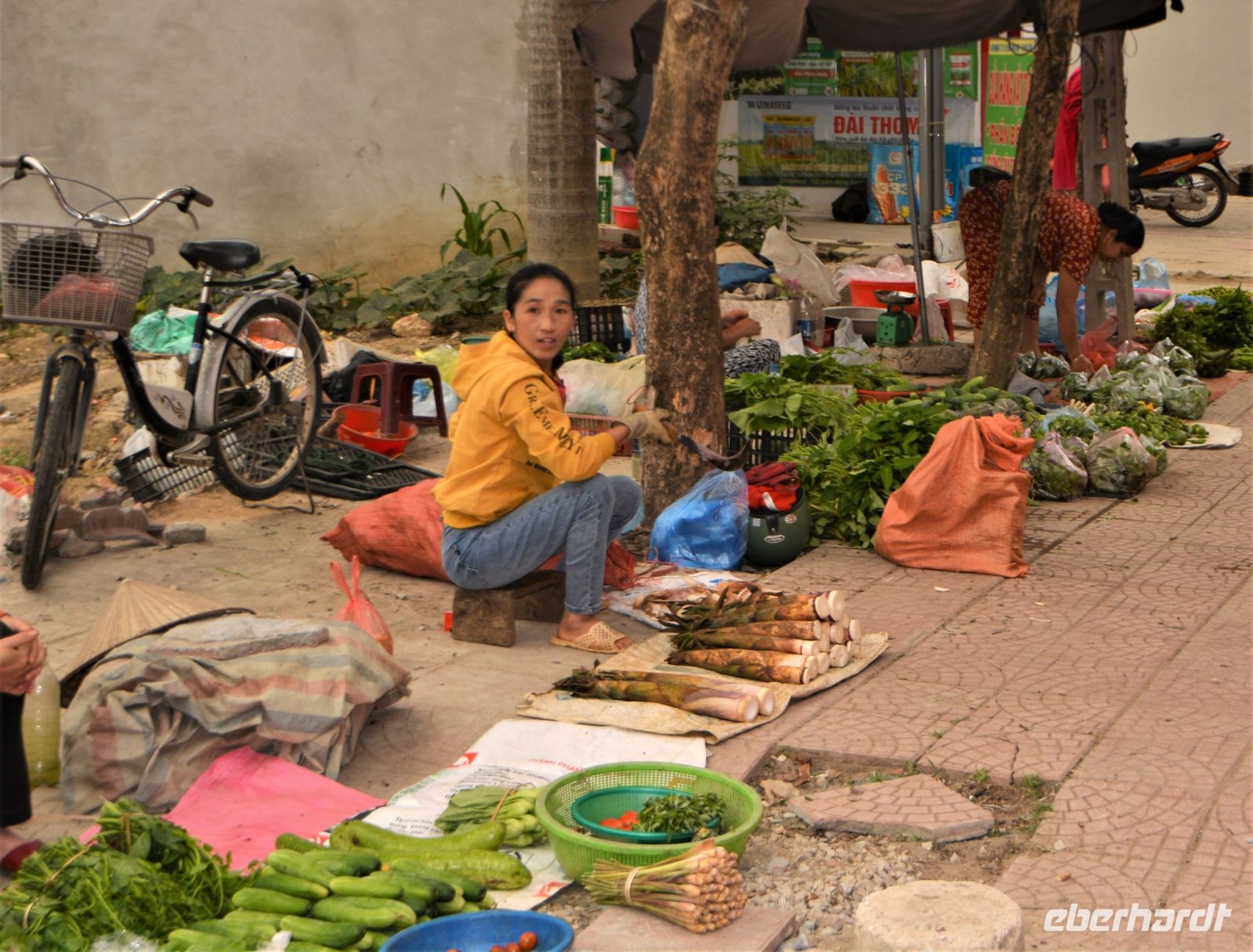 auf dem Markt in Mai Chau