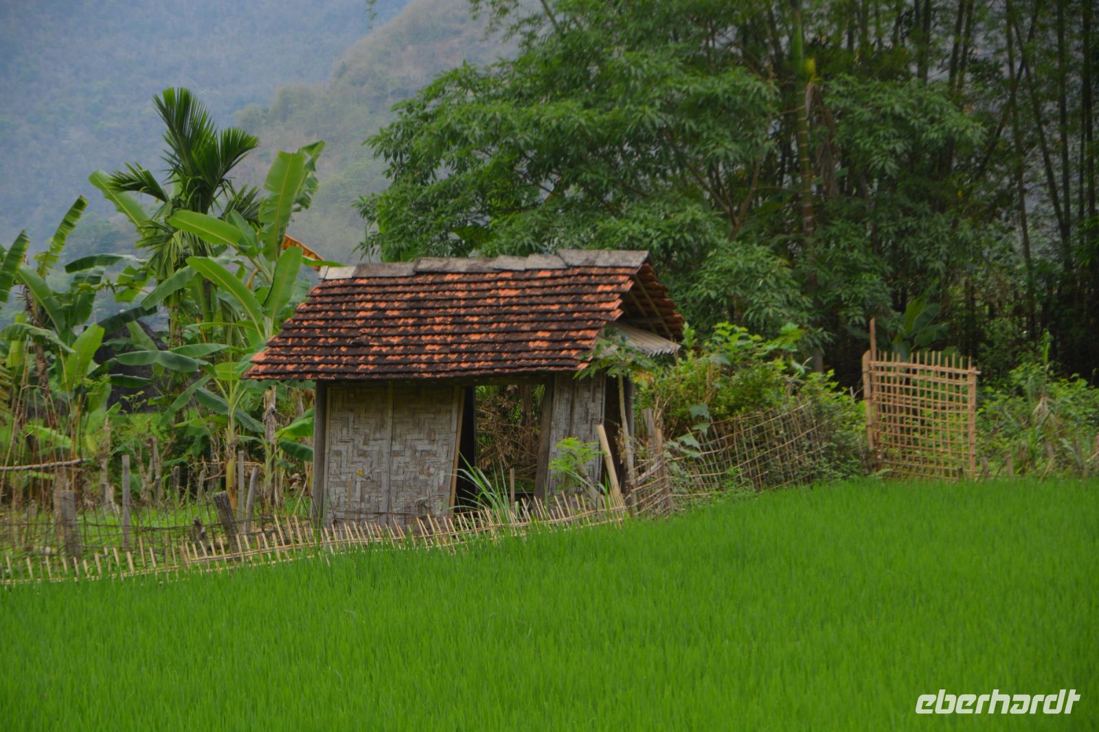 grün als dominierende Farbe