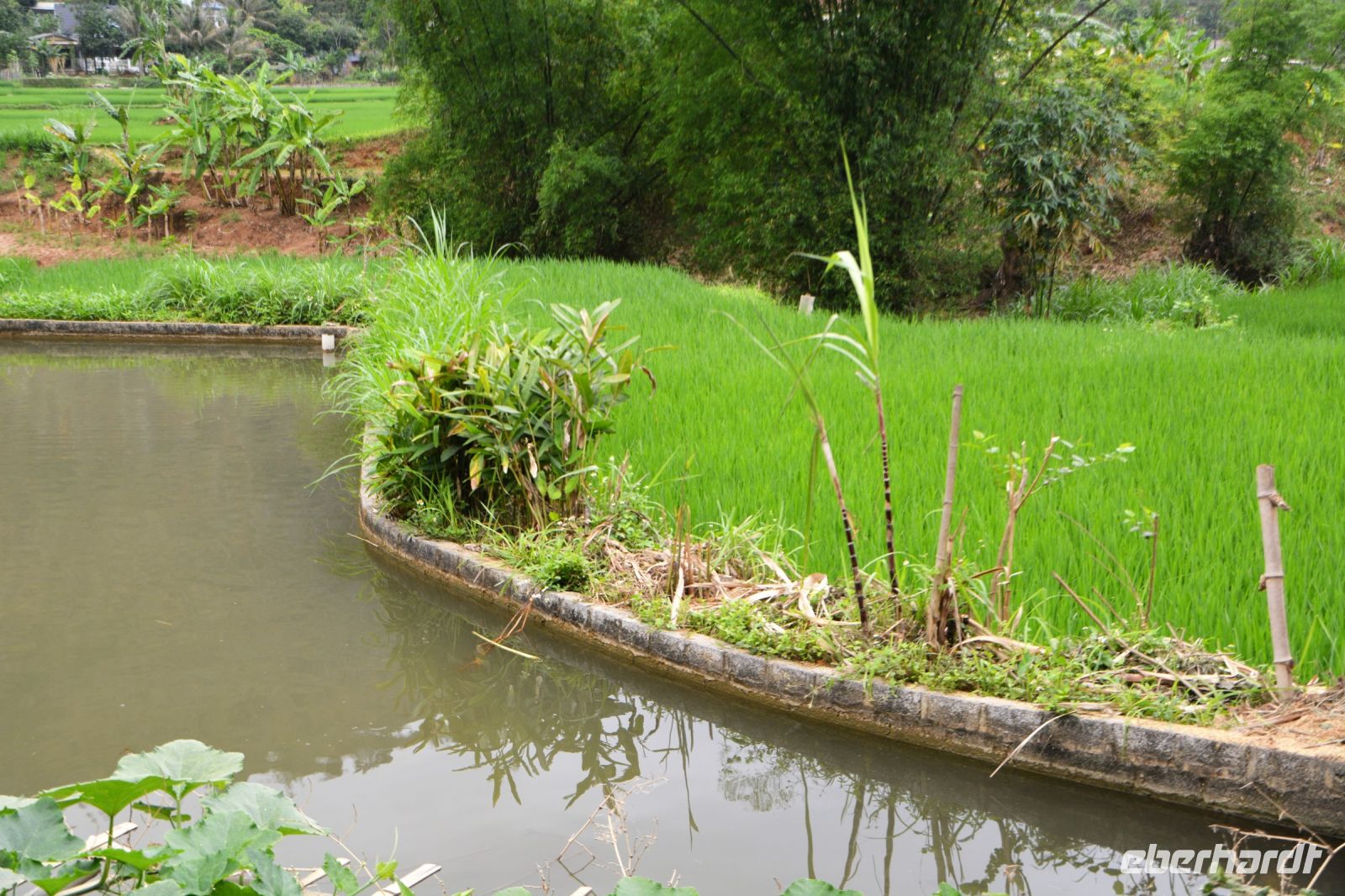 Wasserbecken für den Vorrat