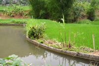 Wasserbecken für den Vorrat