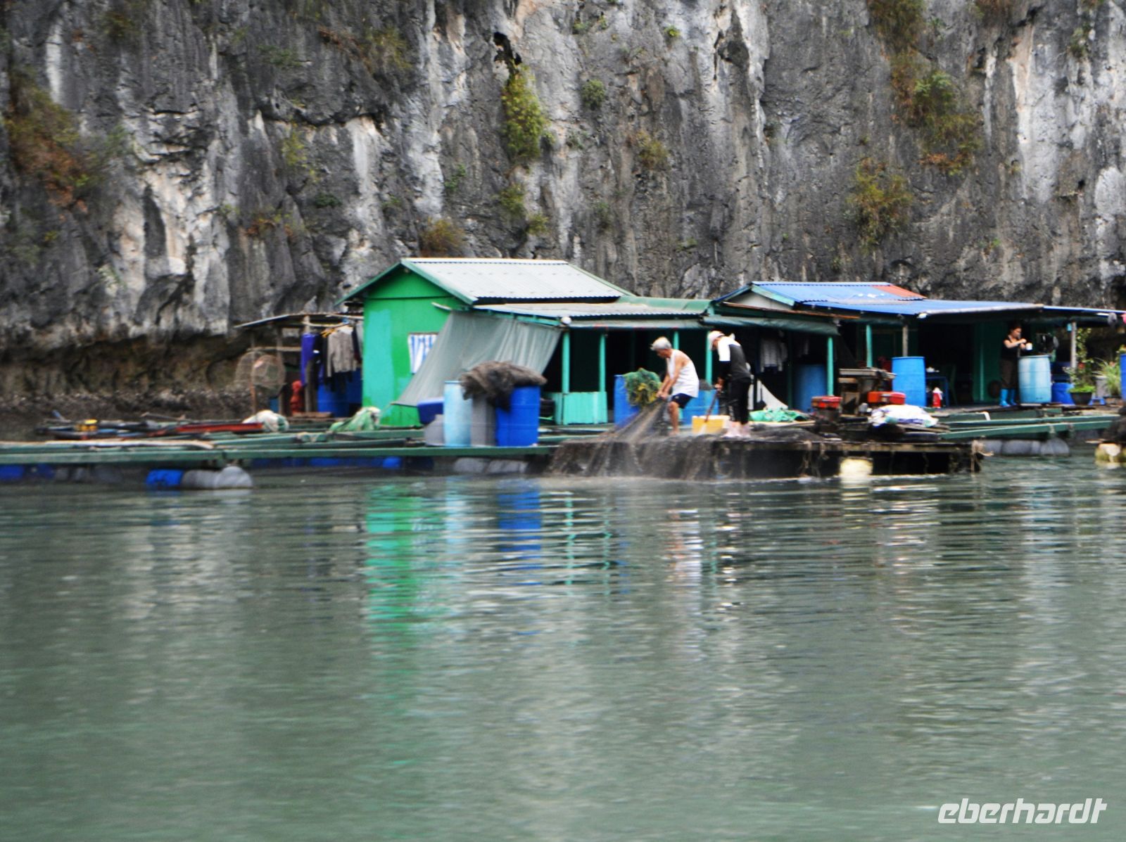 verbliebene Buchtbewohner