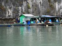 verbliebene Buchtbewohner