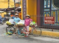 Fahrräder sind alles