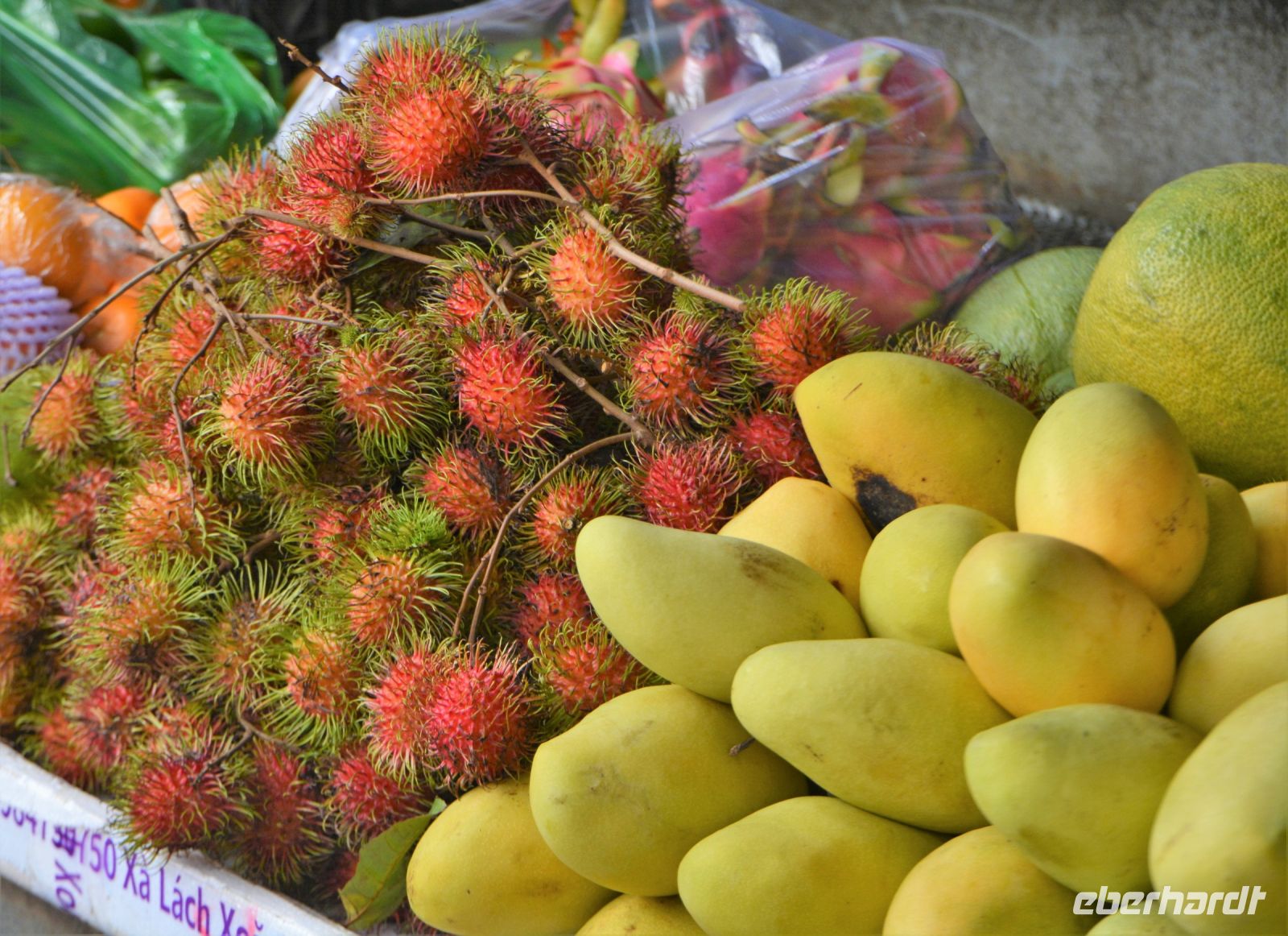 Kann man die essen ?