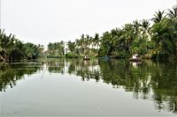 soweit das Auge reicht