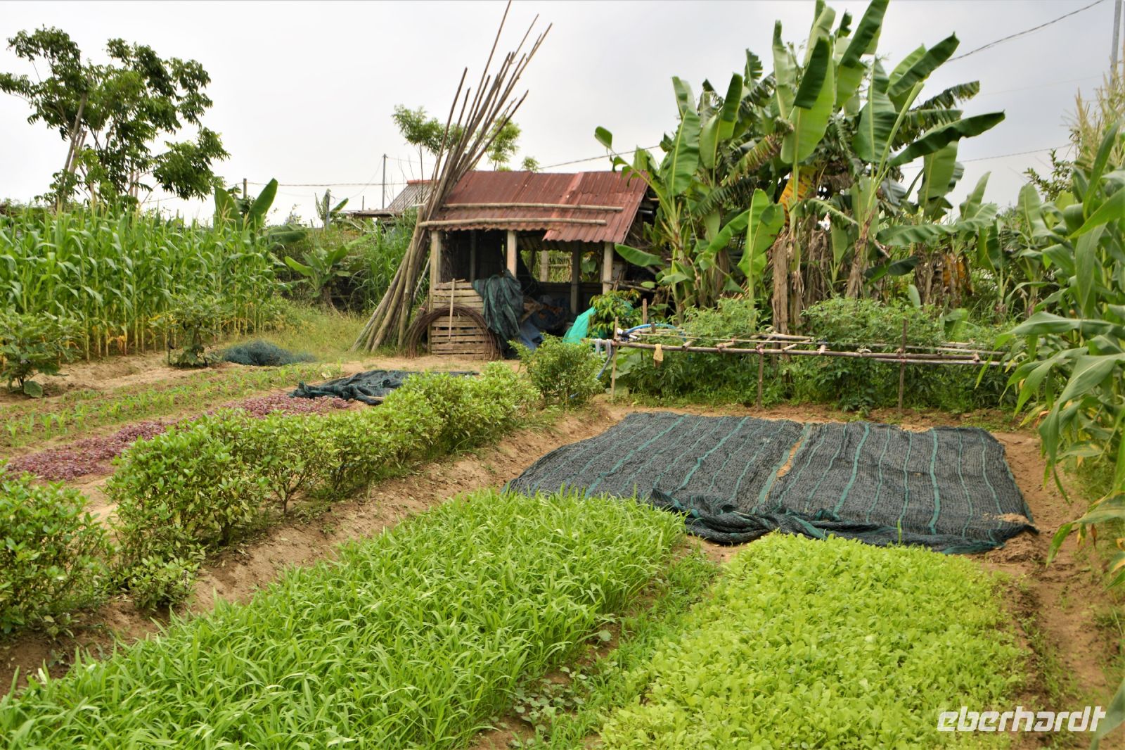 ökologischer Gartenbau