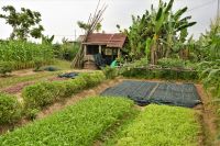 ökologischer Gartenbau