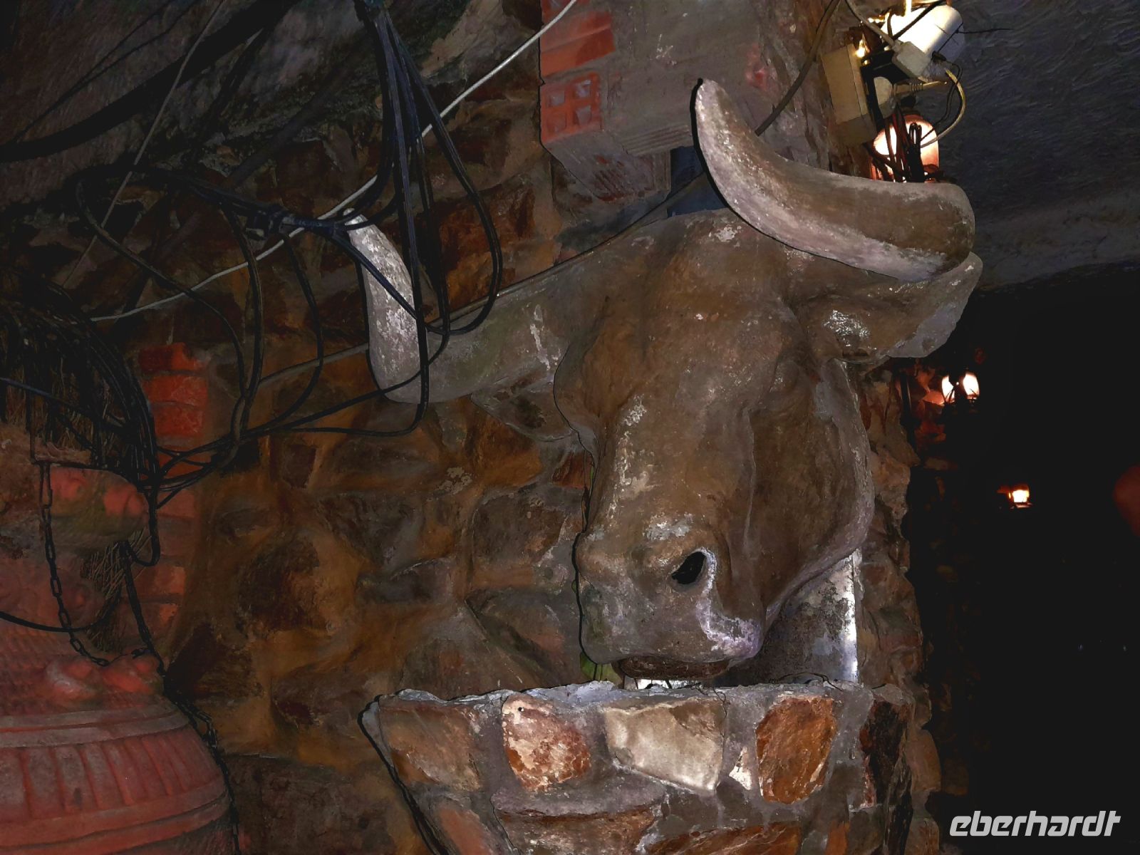 Zur Begrüßung ein Stier