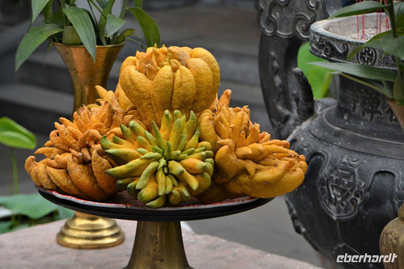 Zitrusfrucht Hand Buddhas