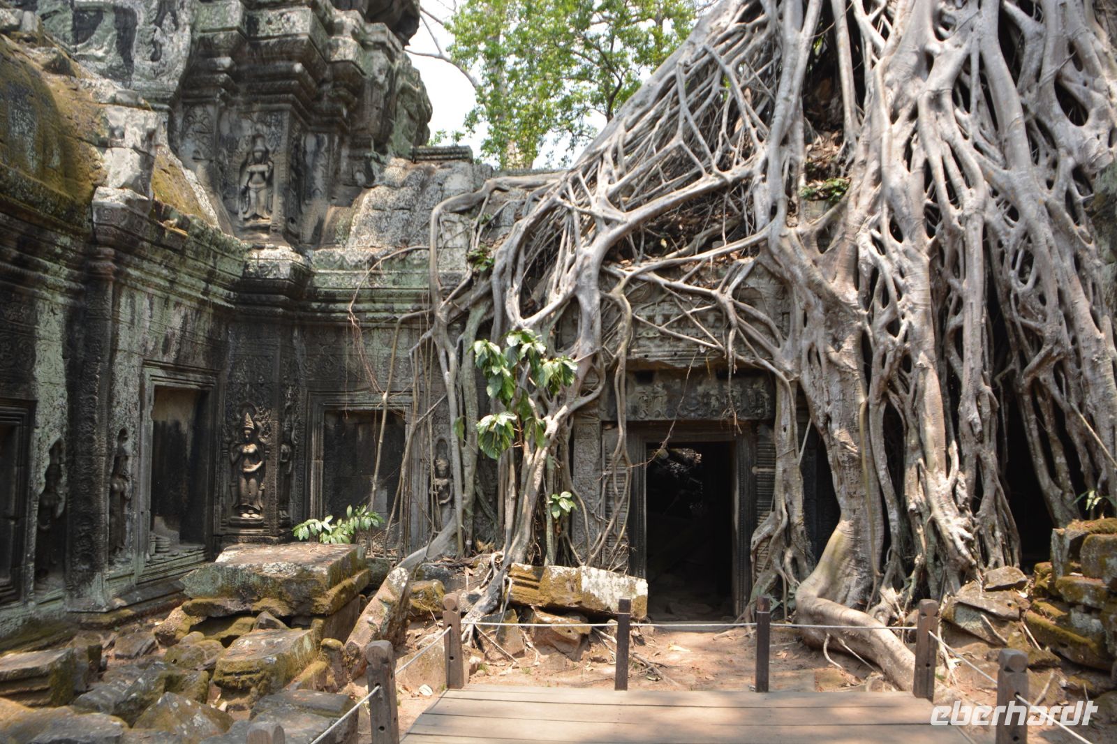 unglaubliche Harmonie