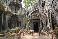 unglaubliche Harmonie