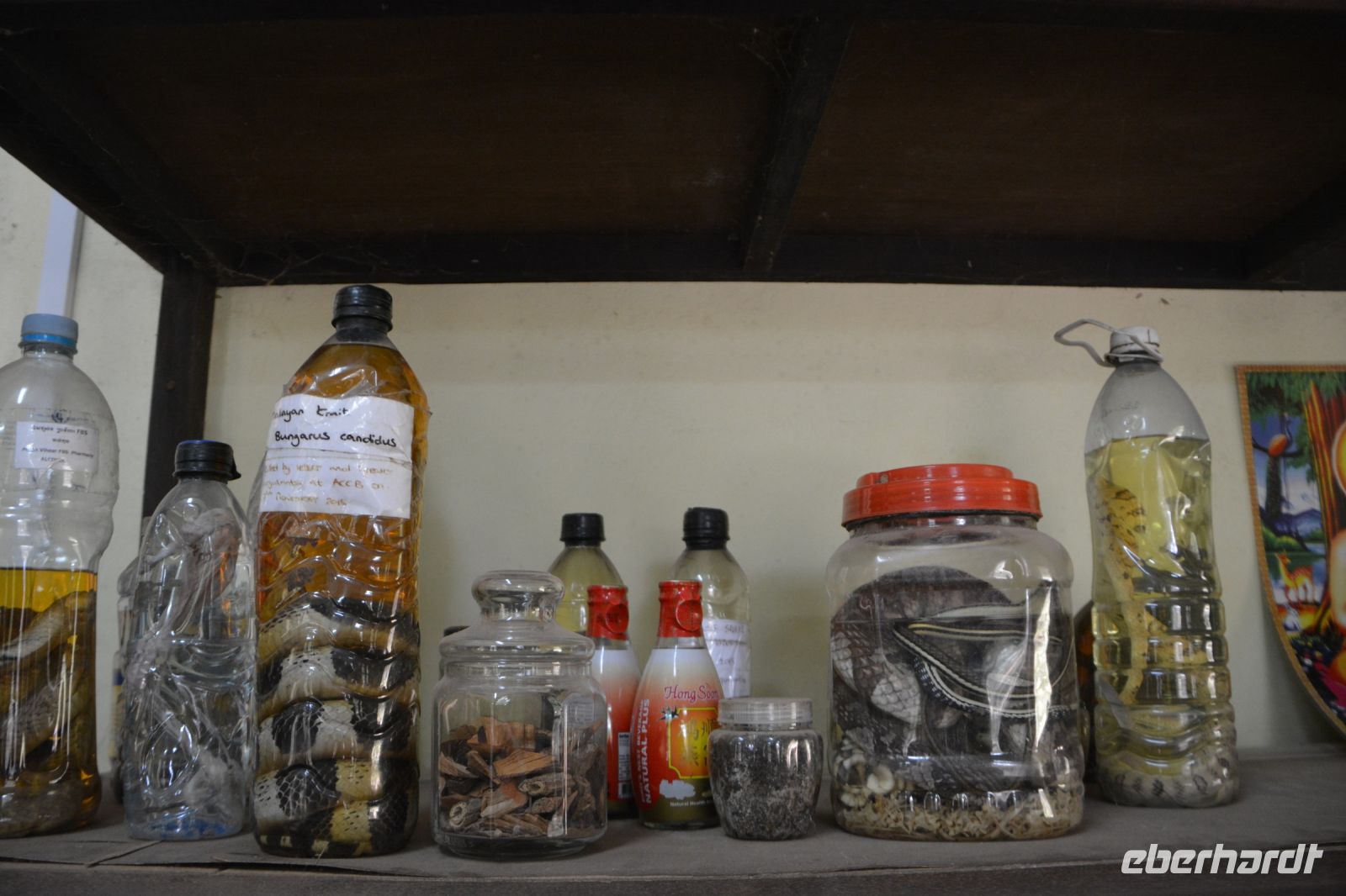 Sammlung für die Forschung!