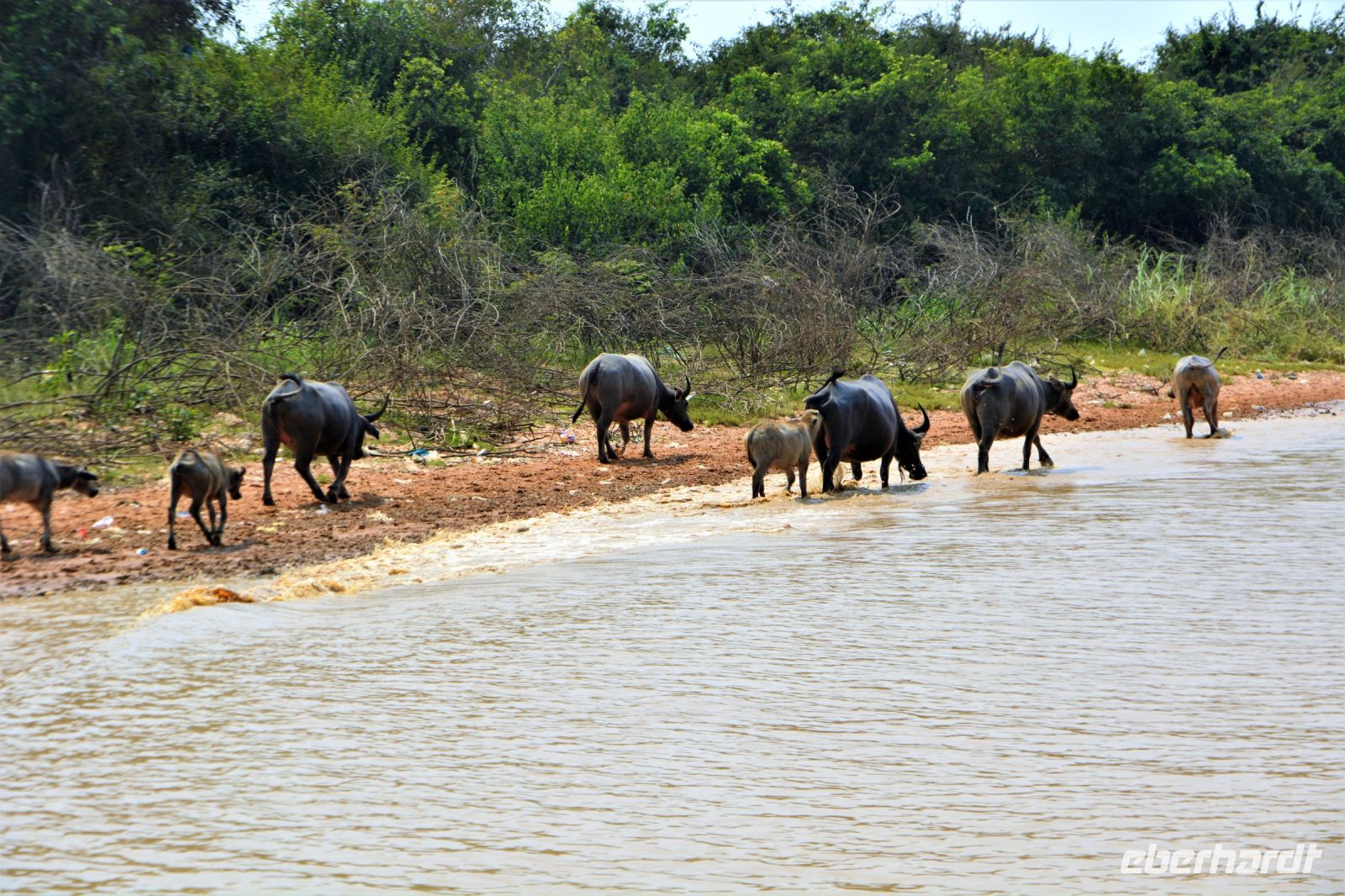 blos den Anschluss nicht verpassen