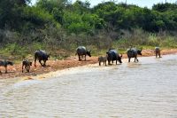 blos den Anschluss nicht verpassen